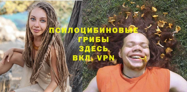 амф Верхний Тагил