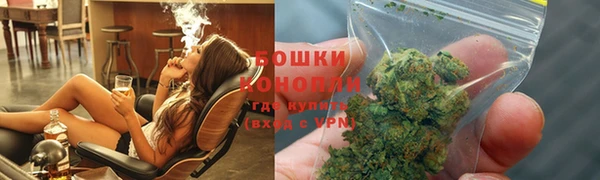 амф Верхний Тагил
