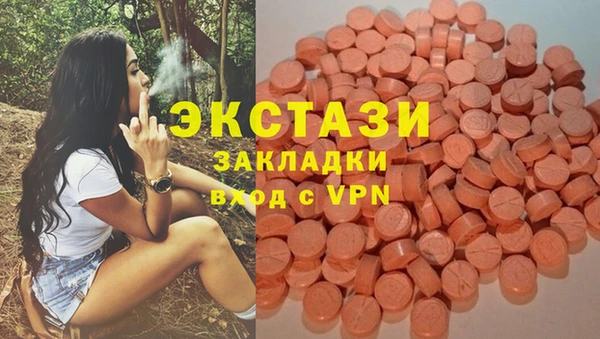 амф Верхний Тагил