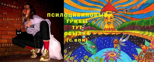 бошки Верхнеуральск