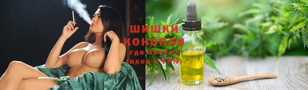 амф Верхний Тагил