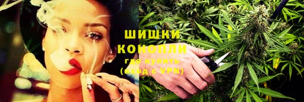 амф Верхний Тагил