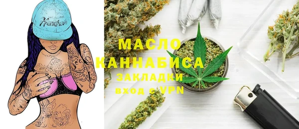 амф Верхний Тагил