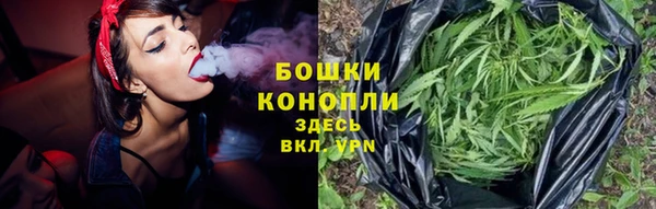 амф Верхний Тагил