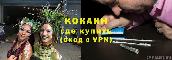 амф Верхний Тагил