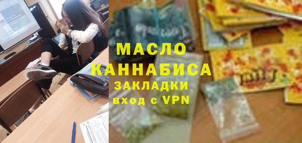 амф Верхний Тагил