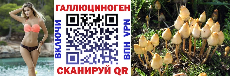 где найти MEGA ONION Псилоцибиновые грибы прущие грибы Саянск